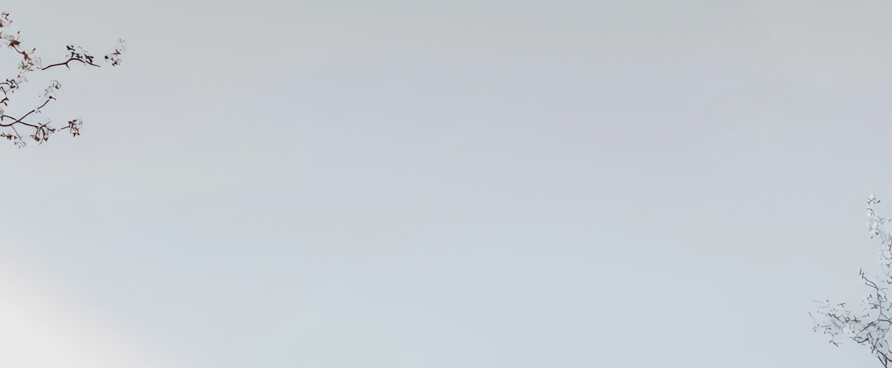 Sai Plastic Surgery About Page Top Index Img