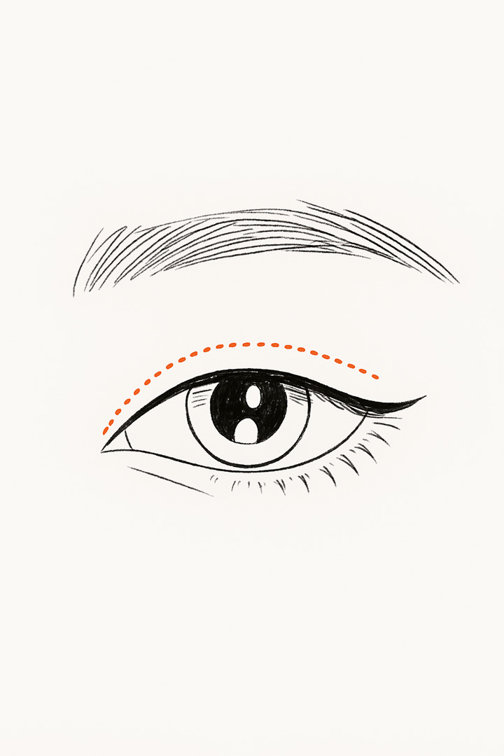 눈매에 어울리도록[b]라인을 디자인합니다.